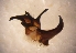  ( - TAB-RO-8-1)  @12 [ ] Unspecified (default): All Rights Reserved  Unspecified Unspecified