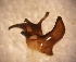  ( - TAB-RO-8-2)  @12 [ ] Unspecified (default): All Rights Reserved  Unspecified Unspecified