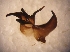  ( - TAL-GR-1-1)  @12 [ ] Unspecified (default): All Rights Reserved  Unspecified Unspecified