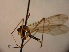  ( - TAL-HU-28-03)  @13 [ ] CreativeCommons - Attribution Non-Commercial Share-Alike (2014) Unspecified Univerity Babes-Bolyai, Hungarian Dept. of Biology and Ecology