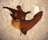  ( - TAL-RO-1-1)  @12 [ ] Unspecified (default): All Rights Reserved  Unspecified Unspecified