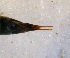  ( - TAT-RO-1-2)  @12 [ ] Unspecified (default): All Rights Reserved  Unspecified Unspecified