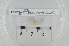  ( - TSBF.1.G4.29)  @12 [ ] CreativeCommons - Attribution Non-Commercial Share-Alike (2014) Philippe Mora Université Paris-Est Créteil