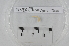  ( - TSBF.1.G4.30)  @12 [ ] CreativeCommons - Attribution Non-Commercial Share-Alike (2014) Philippe Mora Université Paris-Est Créteil