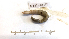  ( - DFM-0009)  @11 [ ] by-nc-sa (2021) Daniel Fernandez Marchan Universite Montpellier, CEFE Lab