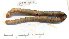  ( - DFM-0012)  @11 [ ] by-nc-sa (2021) Daniel Fernandez Marchan Universite Montpellier, CEFE Lab