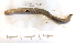  ( - DFM-0021)  @11 [ ] by-nc-sa (2021) Daniel Fernandez Marchan Universite Montpellier, CEFE Lab