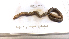  ( - DFM-0022)  @11 [ ] by-nc-sa (2021) Daniel Fernandez Marchan Universite Montpellier, CEFE Lab