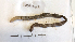 ( - DFM-0024)  @11 [ ] by-nc-sa (2021) Daniel Fernandez Marchan Universite Montpellier, CEFE Lab