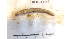  ( - DFM-0036)  @11 [ ] by-nc-sa (2021) Daniel Fernandez Marchan Universite Montpellier, CEFE Lab