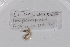  ( - EW-GAB.LBV-0204)  @12 [ ] Copyright (2012) Thibaud Decaens Laboratoire ECODIV, Univ Rouen