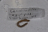  ( - EW-GAB.LBV-0336)  @12 [ ] Copyright (2012) Thibaud Decaens Laboratoire ECODIV, Univ Rouen