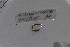  ( - EW-Lope11-0010)  @12 [ ] Copyright (2012) Thibaud Decaens Laboratoire ECODIV, Univ Rouen