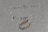  ( - EW-Lope11-0101)  @12 [ ] Copyright (2012) Thibaud Decaens Laboratoire ECODIV, Univ Rouen