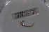  ( - EW-Lope11-0027)  @12 [ ] Copyright (2012) Thibaud Decaens Laboratoire ECODIV, Univ Rouen