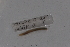  ( - EW-Lope11-0006)  @12 [ ] Copyright (2012) Thibaud Decaens Laboratoire ECODIV, Univ Rouen