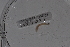  ( - EW-Lope11-0071)  @12 [ ] Copyright (2012) Thibaud Decaens Laboratoire ECODIV, Univ Rouen