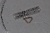  ( - EW-Lope11-0072)  @12 [ ] Copyright (2012) Thibaud Decaens Laboratoire ECODIV, Univ Rouen