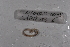  ( - EW-Lope11-0078)  @12 [ ] Copyright (2012) Thibaud Decaens Laboratoire ECODIV, Univ Rouen