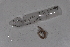  ( - EW-Lope11-0083)  @12 [ ] Copyright (2012) Thibaud Decaens Laboratoire ECODIV, Univ Rouen