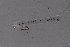  ( - EW-Lope11-0092)  @12 [ ] Copyright (2012) Thibaud Decaens Laboratoire ECODIV, Univ Rouen