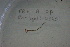  ( - EW-Lope12-0249)  @12 [ ] Copyright (2012) C.Doussot Ecodiv