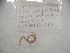  ( - EW-RCA12-0113)  @12 [ ] CreativeCommons - Attribution Non-Commercial Share-Alike (2013) ECODIV Univ Rouen