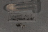  ( - EW-RCA12-0176)  @12 [ ] CreativeCommons - Attribution Non-Commercial Share-Alike (2013) ECODIV Univ Rouen