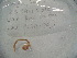  ( - EW-RCA-0038)  @12 [ ] CreativeCommons - Attribution Non-Commercial Share-Alike (2013) ECODIV Univ Rouen