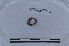  ( - EW-LT-0018)  @11 [ ] CreativeCommons - Attribution Non-Commercial Share-Alike (2018) Thibaud Decaëns Universite Montpellier, CEFE Lab