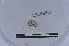  ( - EW-LT-0154)  @11 [ ] CreativeCommons - Attribution Non-Commercial Share-Alike (2018) Thibaud Decaëns Universite Montpellier, CEFE Lab