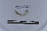  ( - EW-LT-0195)  @11 [ ] CreativeCommons - Attribution Non-Commercial Share-Alike (2018) Thibaud Decaëns Universite Montpellier, CEFE Lab