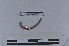  ( - EW-LT-0282)  @11 [ ] CreativeCommons - Attribution Non-Commercial Share-Alike (2018) Thibaud Decaëns Universite Montpellier, CEFE Lab
