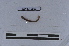  ( - EW-LT-0283)  @11 [ ] CreativeCommons - Attribution Non-Commercial Share-Alike (2018) Thibaud Decaëns Universite Montpellier, CEFE Lab