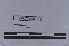 ( - EW-LT-0286)  @11 [ ] CreativeCommons - Attribution Non-Commercial Share-Alike (2018) Thibaud Decaëns Universite Montpellier, CEFE Lab