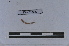  ( - EW-LT-0287)  @11 [ ] CreativeCommons - Attribution Non-Commercial Share-Alike (2018) Thibaud Decaëns Universite Montpellier, CEFE Lab