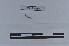  ( - EW-LT-0289)  @11 [ ] CreativeCommons - Attribution Non-Commercial Share-Alike (2018) Thibaud Decaëns Universite Montpellier, CEFE Lab