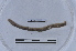 ( - EW-LT-0335)  @11 [ ] CreativeCommons - Attribution Non-Commercial Share-Alike (2018) Thibaud Decaëns Universite Montpellier, CEFE Lab