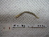  (Acanthodrilinae - IEOL4364)  @13 [ ] CreativeCommons - Attribution Non-Commercial Share-Alike (2012) Carlos Fragoso INECOL
