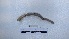  ( - EW_AM_0124)  @11 [ ] by-nc-sa (2022) Thibaud.Decaens@cefe.cnrs.fr Universite Montpellier
