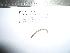  ( - EW-ECO-0428)  @13 [ ] Unspecified (default): All Rights Reserved  Unspecified Unspecified
