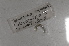  ( - EW-NOR12-0010)  @12 [ ] Copyright (2012) Thibaud Decaens Laboratoire ECODIV, Univ Rouen
