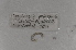  ( - EW-NOR12-0011)  @12 [ ] Copyright (2012) Thibaud Decaens Laboratoire ECODIV, Univ Rouen
