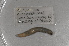  ( - EW-NOR12-0002)  @12 [ ] Copyright (2012) Thibaud Decaens Laboratoire ECODIV, Univ Rouen