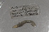  ( - EW-NOR12-0003)  @12 [ ] Copyright (2012) Thibaud Decaens Laboratoire ECODIV, Univ Rouen