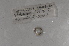  ( - EW-NOR12-0007)  @12 [ ] Copyright (2012) Thibaud Decaens Laboratoire ECODIV, Univ Rouen