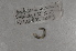  ( - EW-NOR12-0009)  @12 [ ] Copyright (2012) Thibaud Decaens Laboratoire ECODIV, Univ Rouen