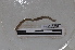  ( - EW-NOU3-0106)  @11 [ ] CreativeCommons - Attribution Non-Commercial Share-Alike (2018) Thibaud Decaens CEFE Lab