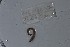  ( - EW-NOU2-127)  @12 [ ] Copyright (2011) Thibaud Decaens Laboratoire ECODIV, Univ Rouen