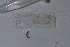  ( - EW-NOU2-132)  @12 [ ] Copyright (2011) Thibaud Decaens Laboratoire ECODIV, Univ Rouen